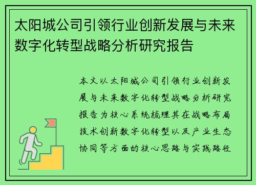 太阳城公司引领行业创新发展与未来数字化转型战略分析研究报告
